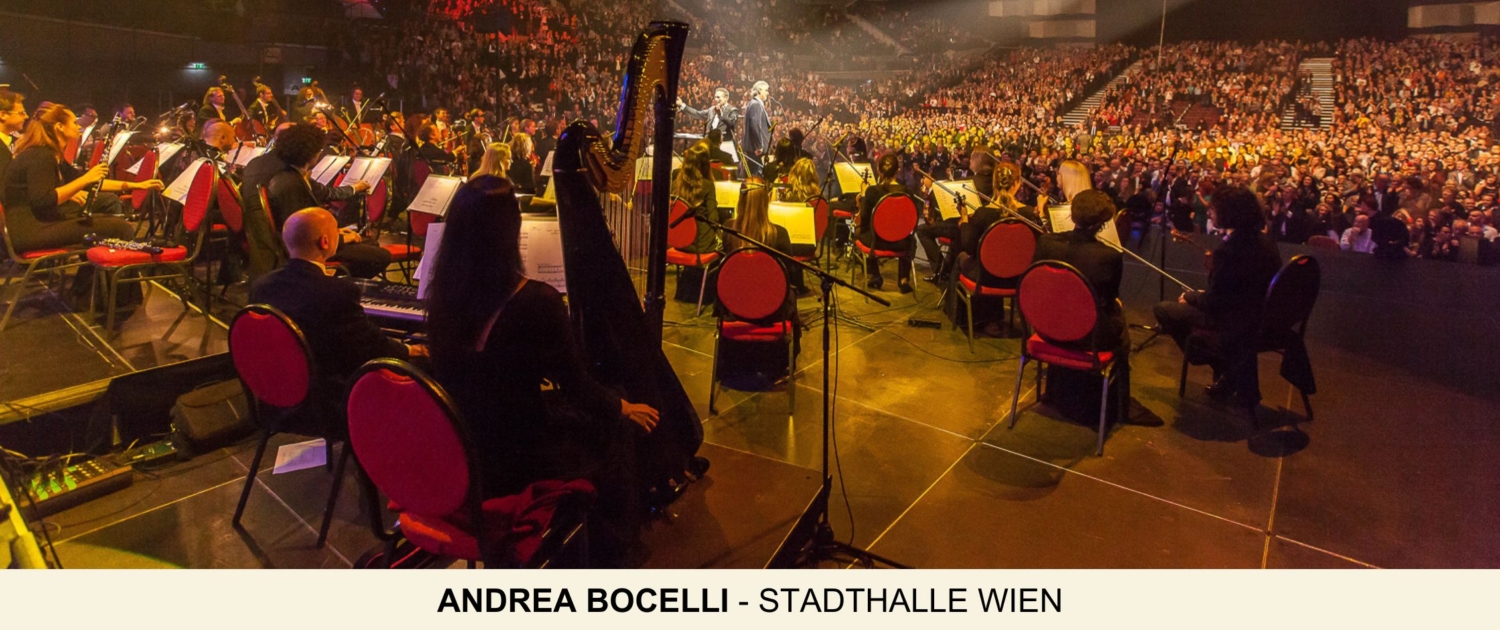 Chic and Elegant New Arrivals Website Homepage Banner-15